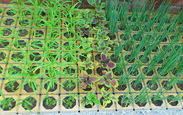 JW生态工法有机生态新农业